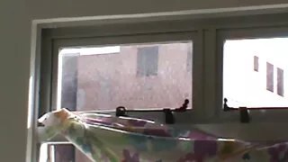 Kurjerių mergina pakliuvom vaikinas, ji pristatė paketą